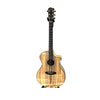 Breedlove Oregon Myrtlewood Dreadnought Concerto CE – USA Made – full image of actual guitar, serial 30844