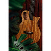 A Kala Revelator Night Owl Mango Tenor Acoustic-Electric Ukulele with a natural wood grain body and dark neck, styled with green tropical leaves against a dark wooden background.