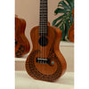 Kala Unity Mahogany Tenor Ukulele with Voyage Collection Gig Bag