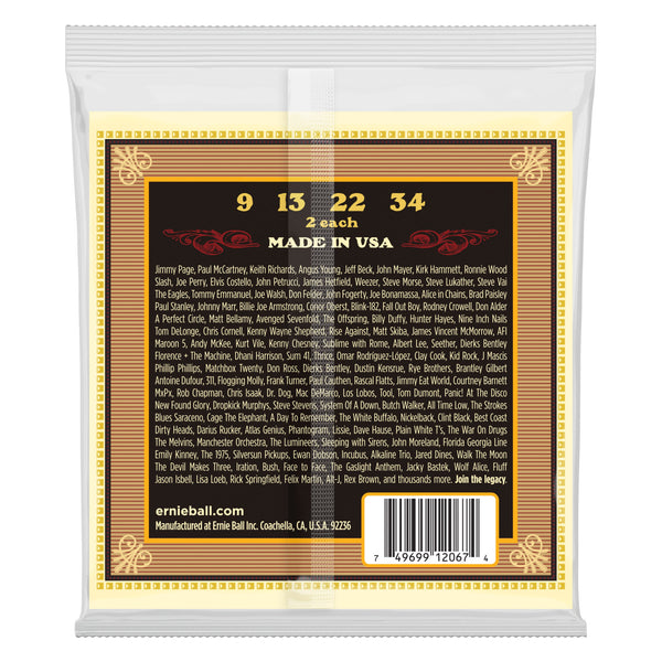 Ernie Ball Mandolin Strings Light Earthwood 80/20 Bronze Mandolin Strings 10-36 Gauge P02065 (Copy)