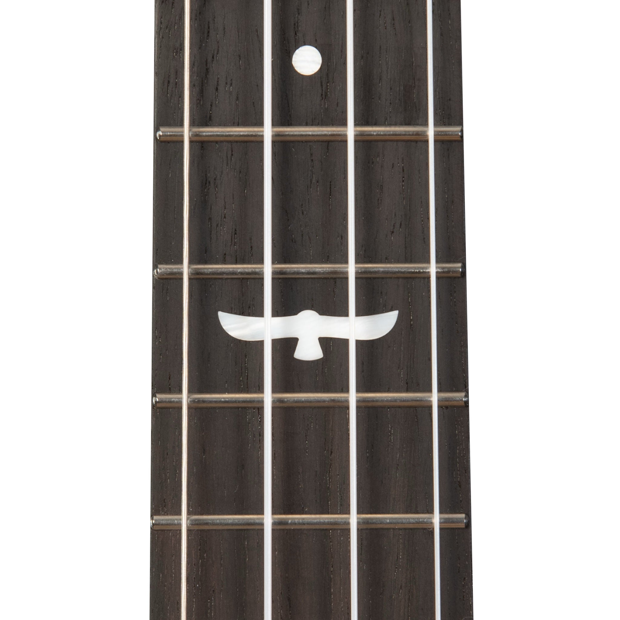 Close-up of a dark wood guitar neck with six strings, featuring a white inlaid owl  lat the fretboard level. of the Kala Revelator Night Owl Mango Tenor Acoustic-Electric Ukulele.