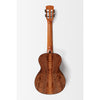 Kala Umbra Acacia Black Walnut Tenor Ukulele with Case