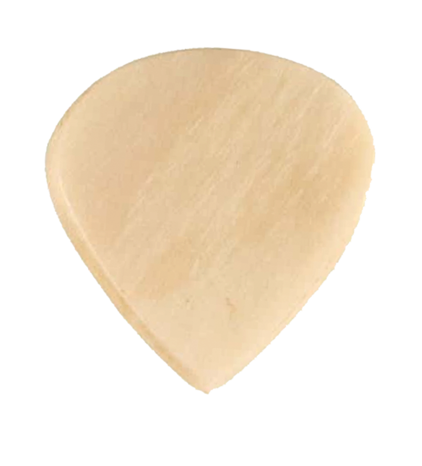 Exotics Bone Jazz image 0