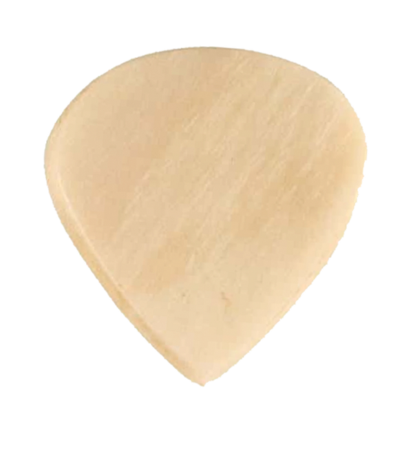 Exotics Bone Jazz image 0