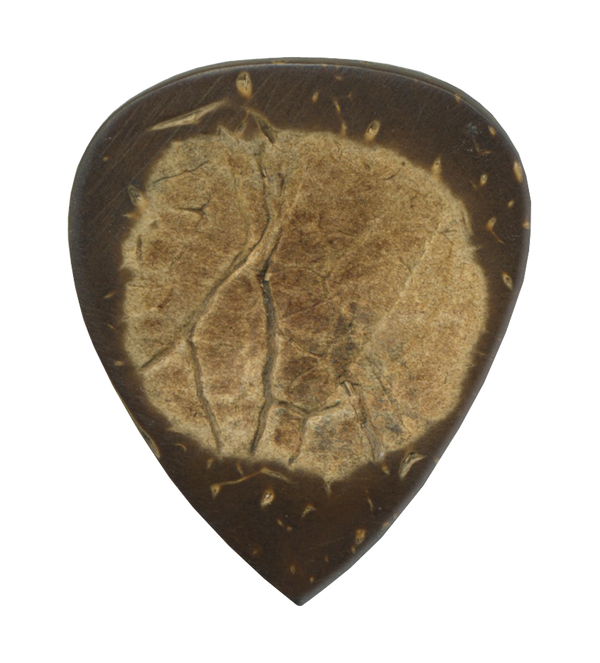 Exotics Coconut Shell image 0