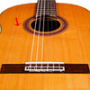 Cordoba Flamenco-Style Tap Plate (Clear)