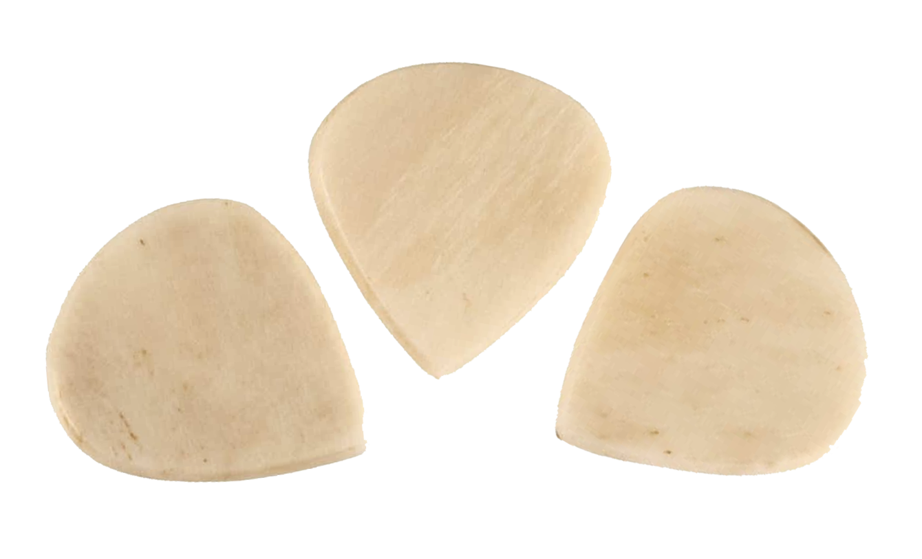 Exotics Bone Jazz image 1