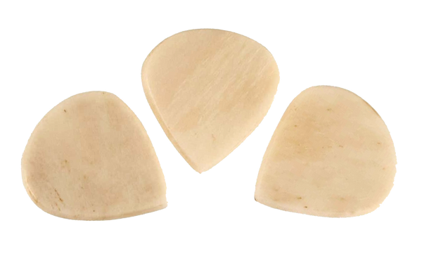 Exotics Bone Jazz image 1