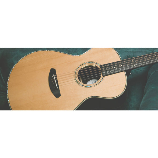 Breedlove Artisan Concert AR E - Vintage Toner