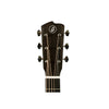Breedlove Artisan Parlor AR E - Tea Burst