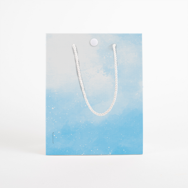 Endless Baby Shark Gift Bag
