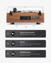 Angels Horn AH X200 turntable detail