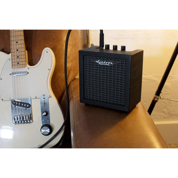 Ashdown MICRO-KILLER