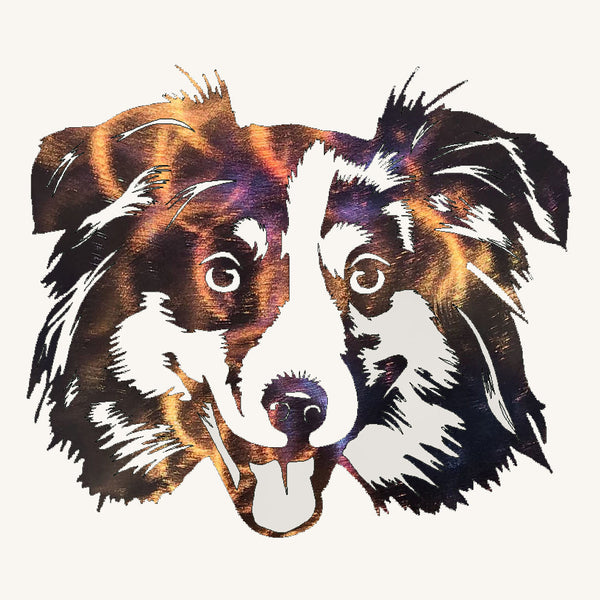 Australian Shepherd Face Metal Art