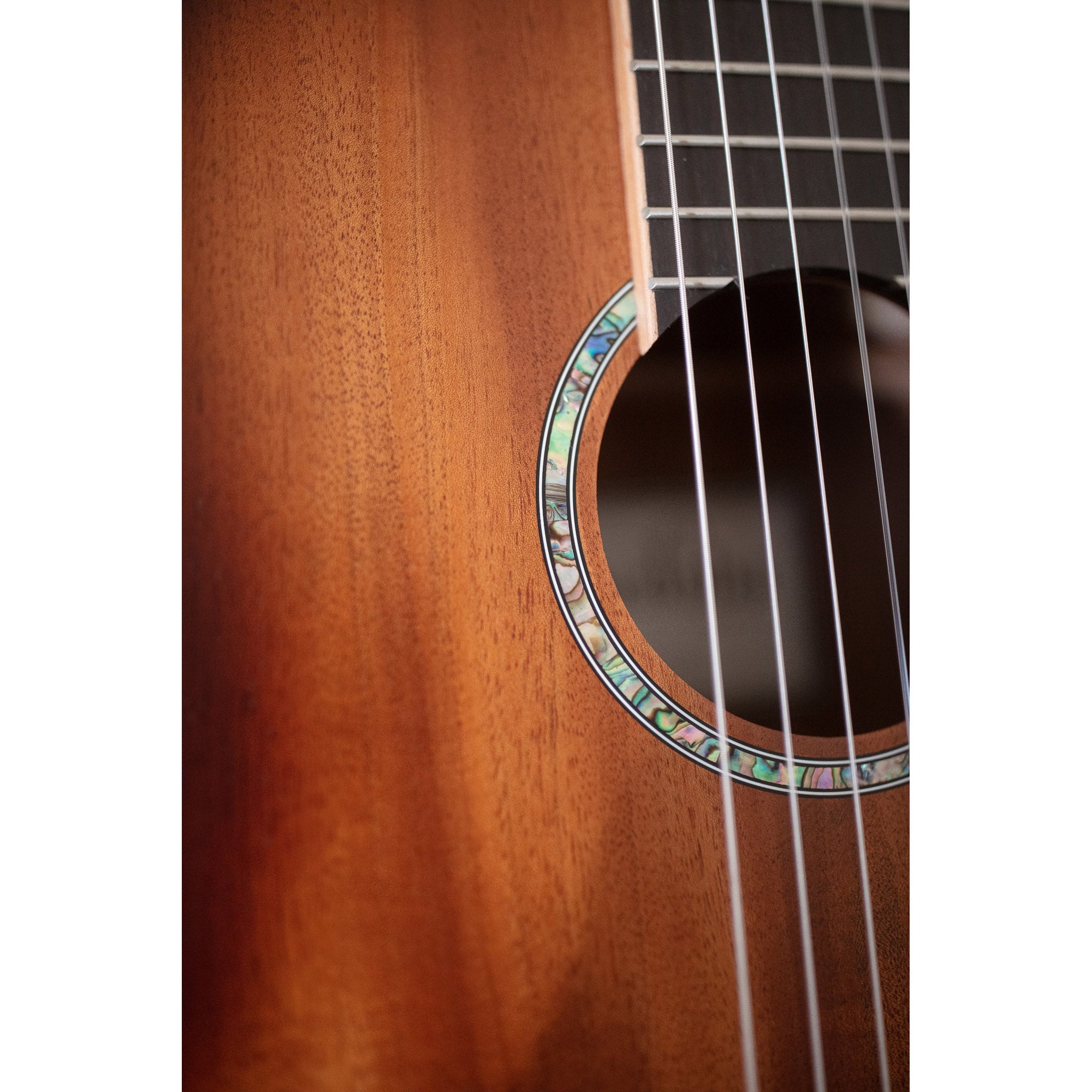 Cordoba C4-CE Nylon String Acoustic-Electric Guitar – Edgeburst