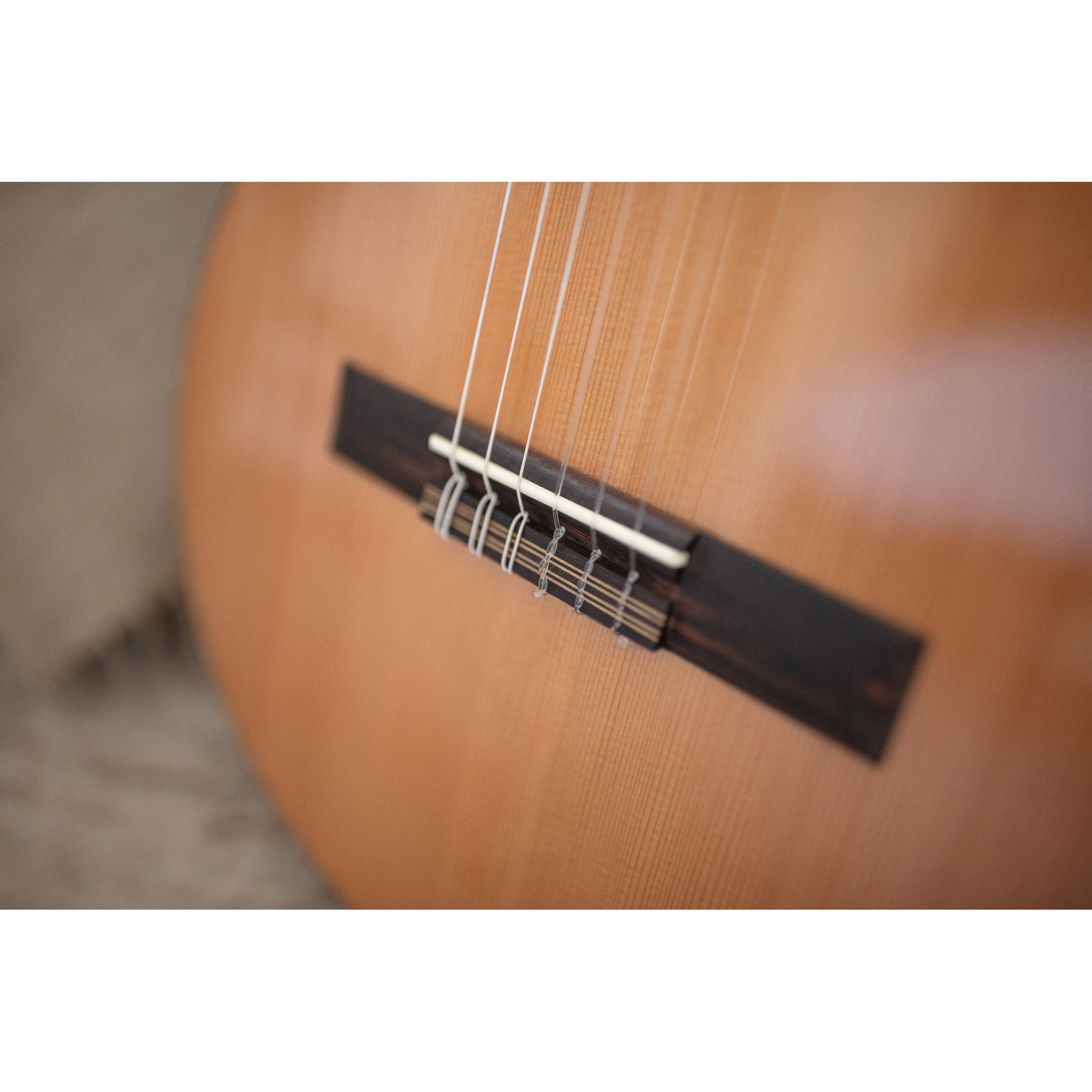 Córdoba C5 CD Classical Guitar – Solid Cedar Top