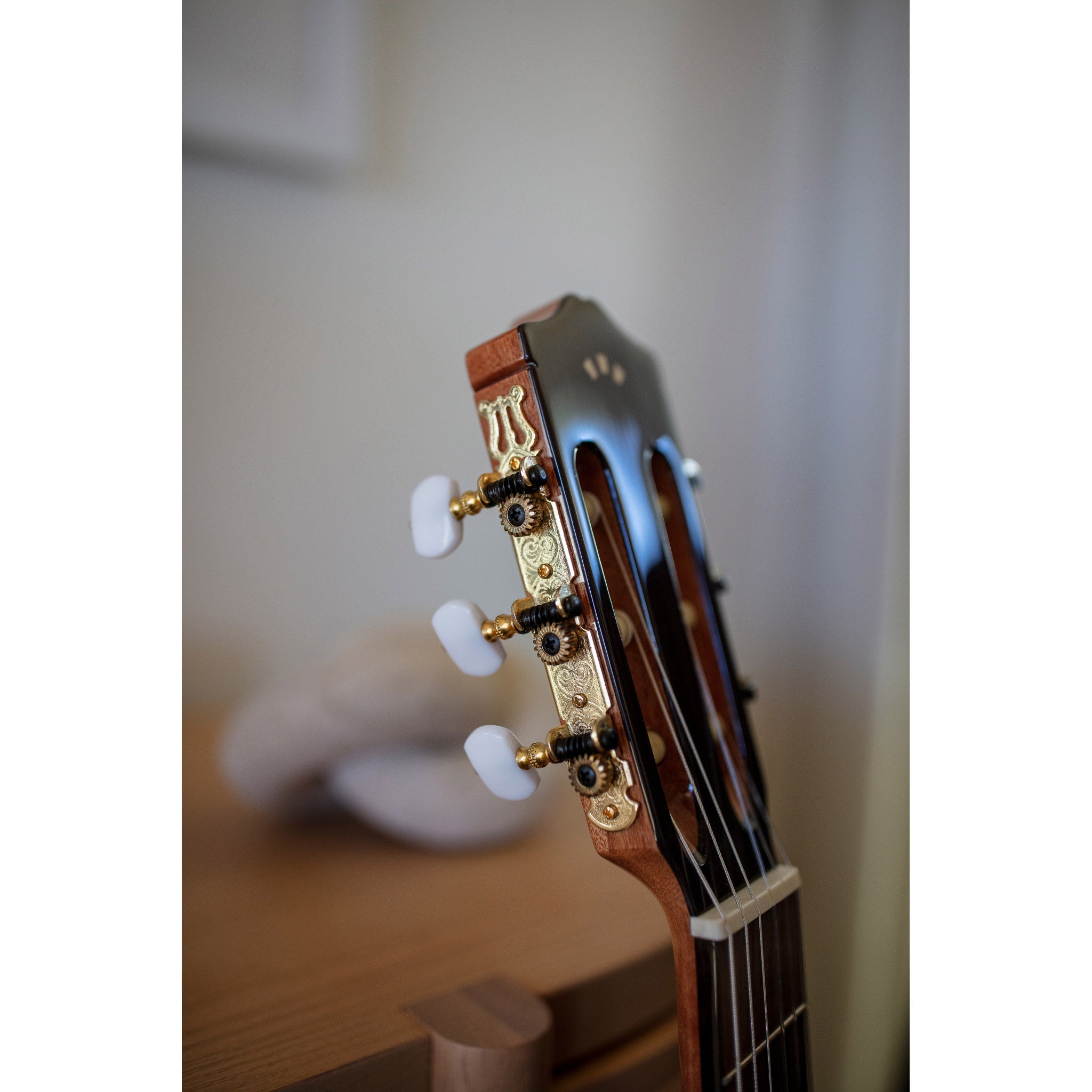 Córdoba C5 CD Classical Guitar – Solid Cedar Top