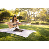Córdoba C3M Solid Cedar Top Classical Guitar – Iberia Series