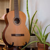 Córdoba C3M Solid Cedar Top Classical Guitar – Iberia Series