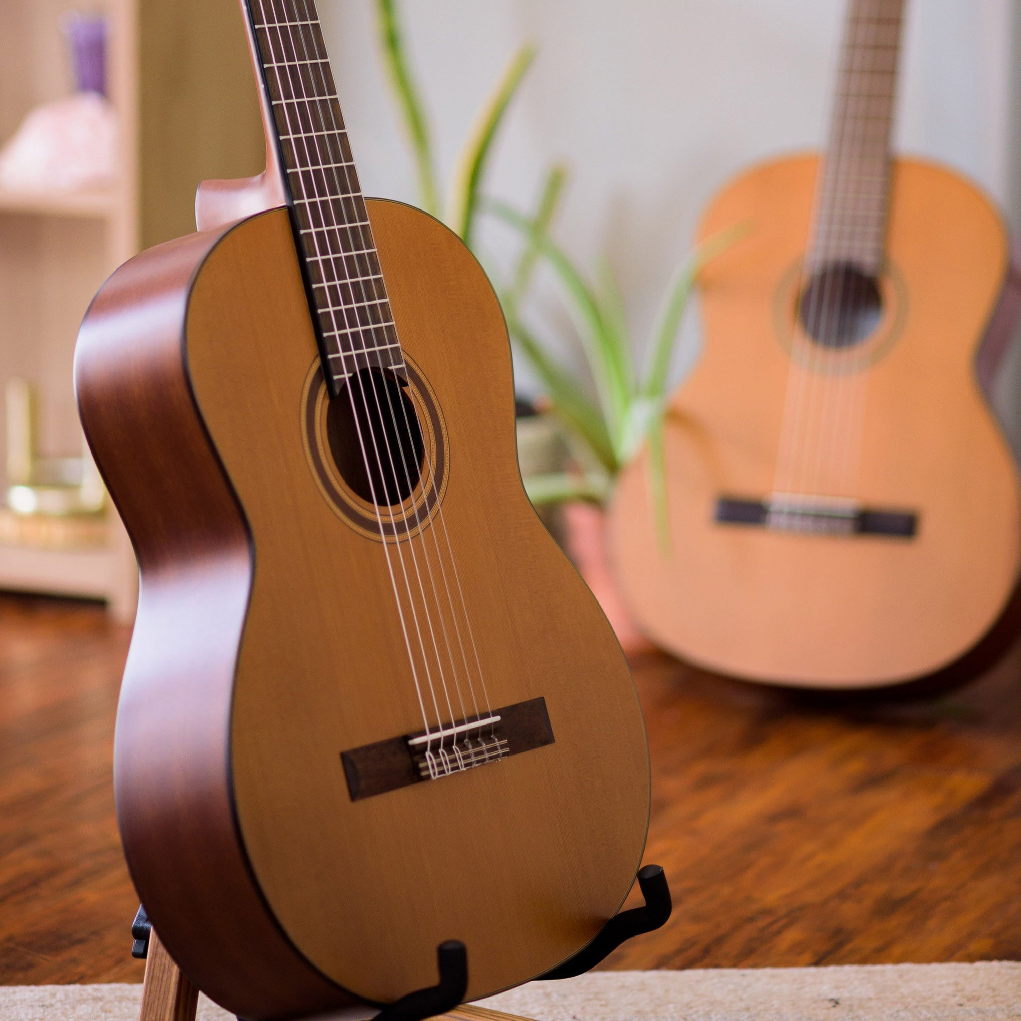 Córdoba C3M Two acoustic guitars on stands with a blurred indoor background