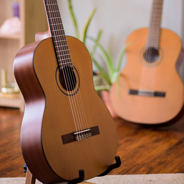 Córdoba C3M Two acoustic guitars on stands with a blurred indoor background