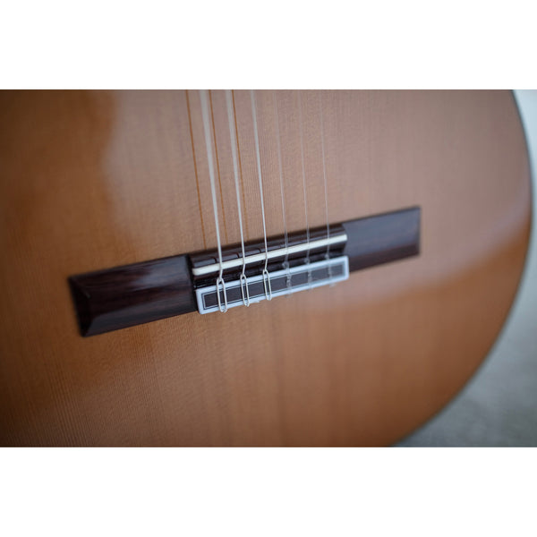 Córdoba C5-CE CD Cutaway Classical Guitar with Fishman Electronics