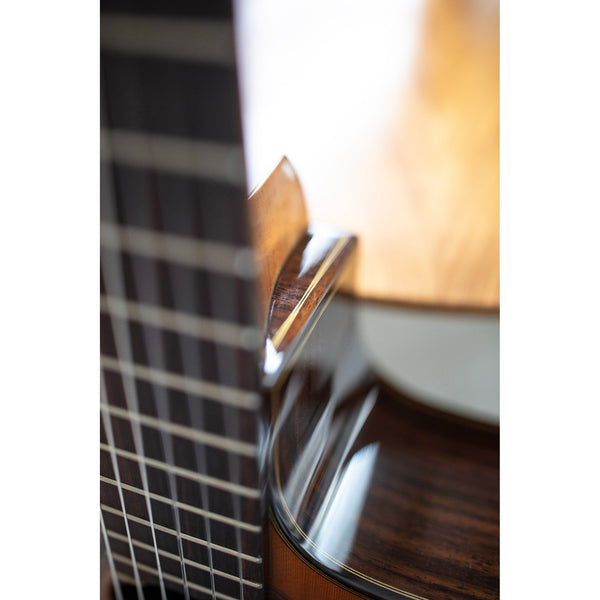 Córdoba C5-CE CD Cutaway Classical Guitar with Fishman Electronics