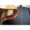 Córdoba C5-CE CD Cutaway Classical Guitar with Fishman Electronics