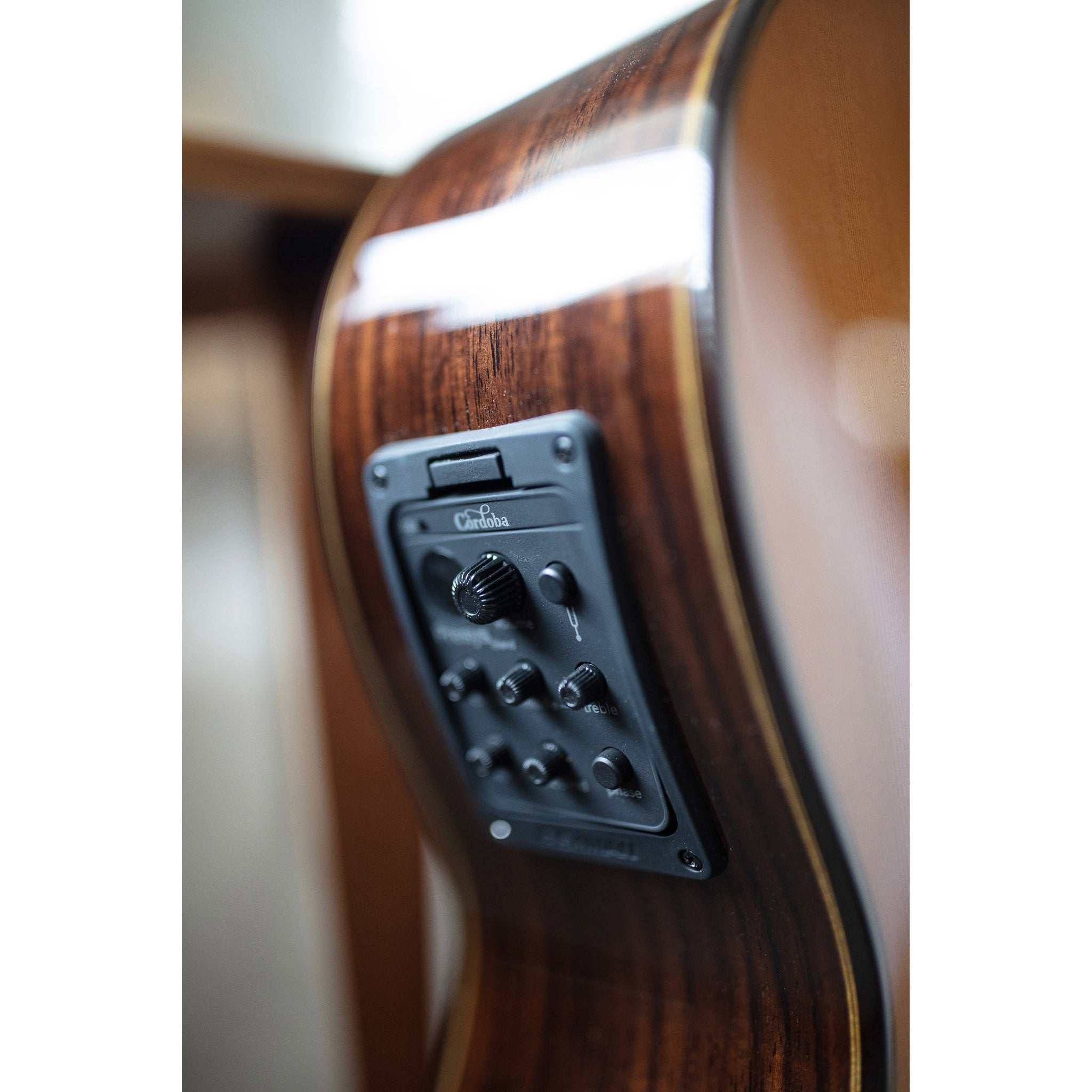 Córdoba C5-CE CD Cutaway Classical Guitar with Fishman Electronics