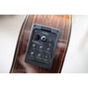 Córdoba C5-CE CD Cutaway Classical Guitar with Fishman Electronics