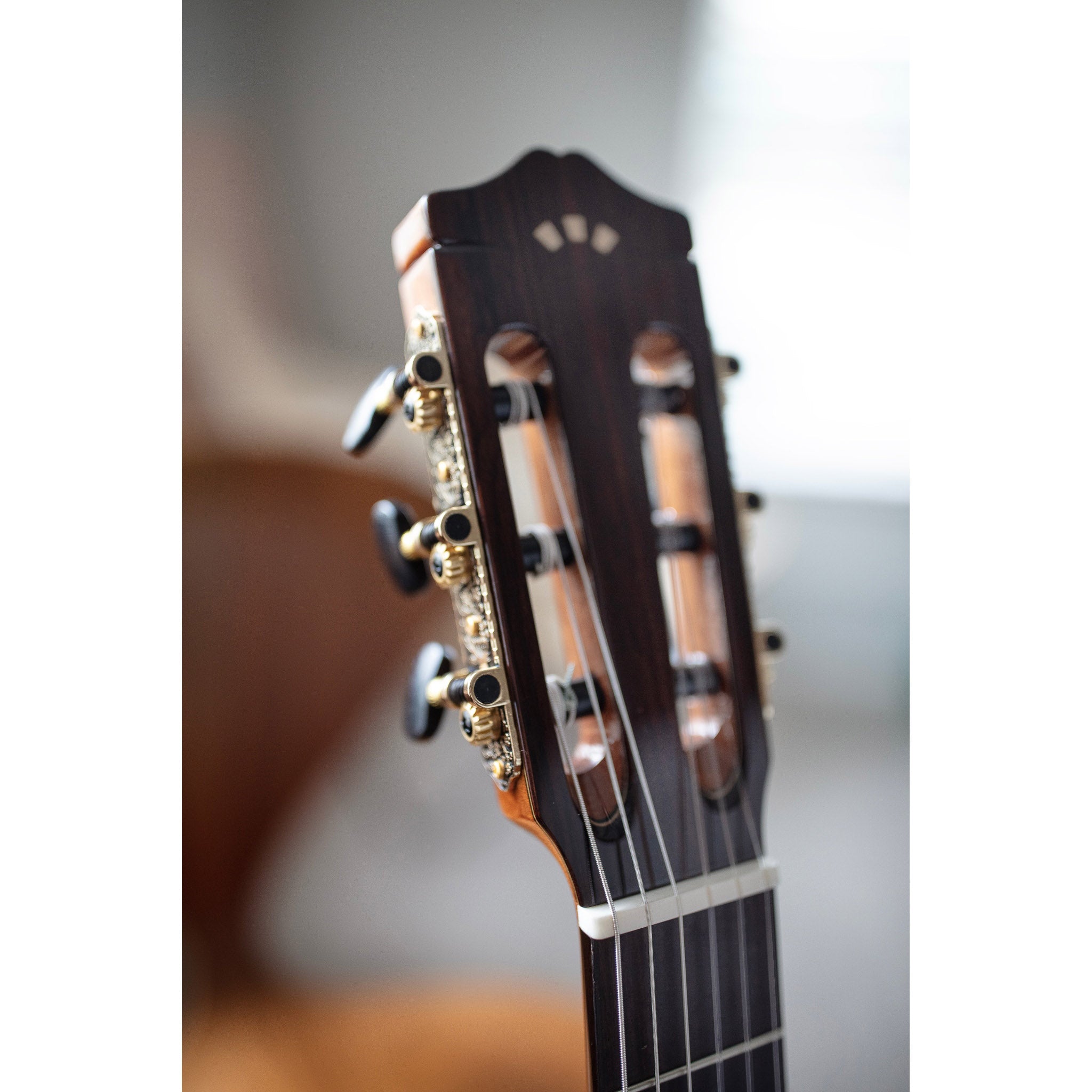Córdoba C5-CE CD Cutaway Classical Guitar with Fishman Electronics