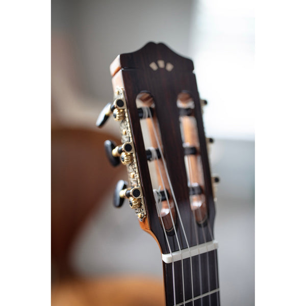 Córdoba C5-CE CD Cutaway Classical Guitar with Fishman Electronics