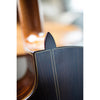 Córdoba C5-CE CD Cutaway Classical Guitar with Fishman Electronics