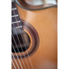 Córdoba C5-CE CD Cutaway Classical Guitar with Fishman Electronics