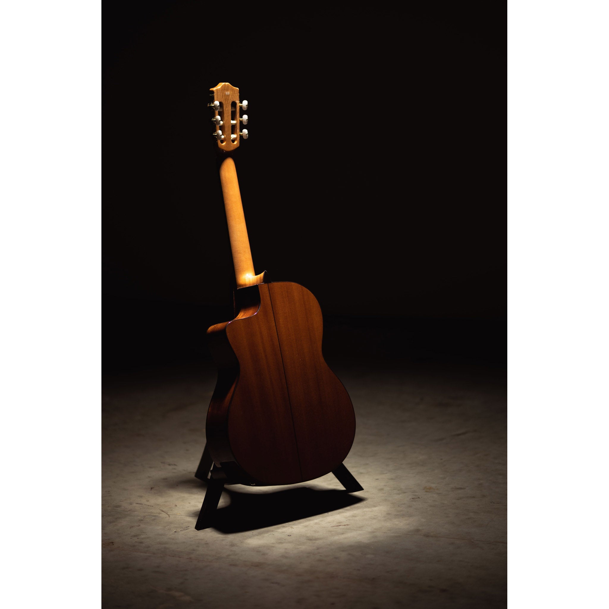 Córdoba C5-CE CD Cutaway Classical Guitar with Fishman Electronics