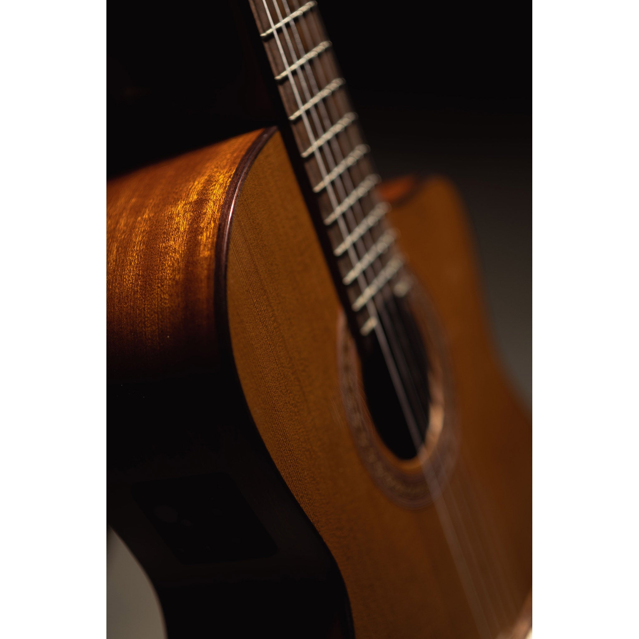 Córdoba C5-CE CD Cutaway Classical Guitar with Fishman Electronics