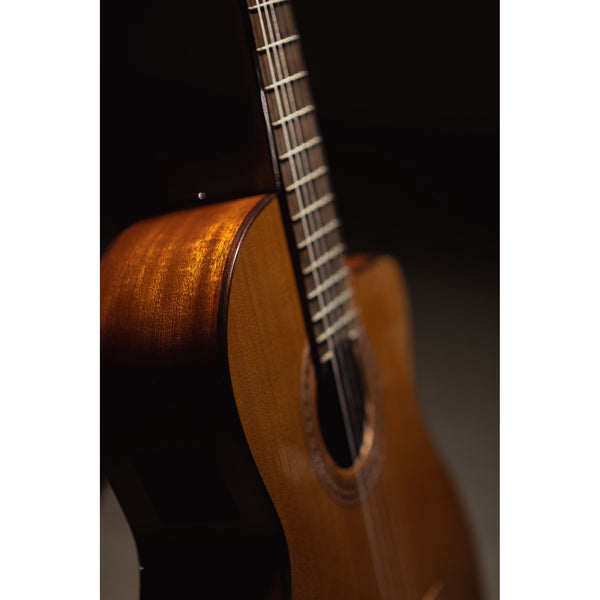 Córdoba C5-CE CD Cutaway Classical Guitar with Fishman Electronics