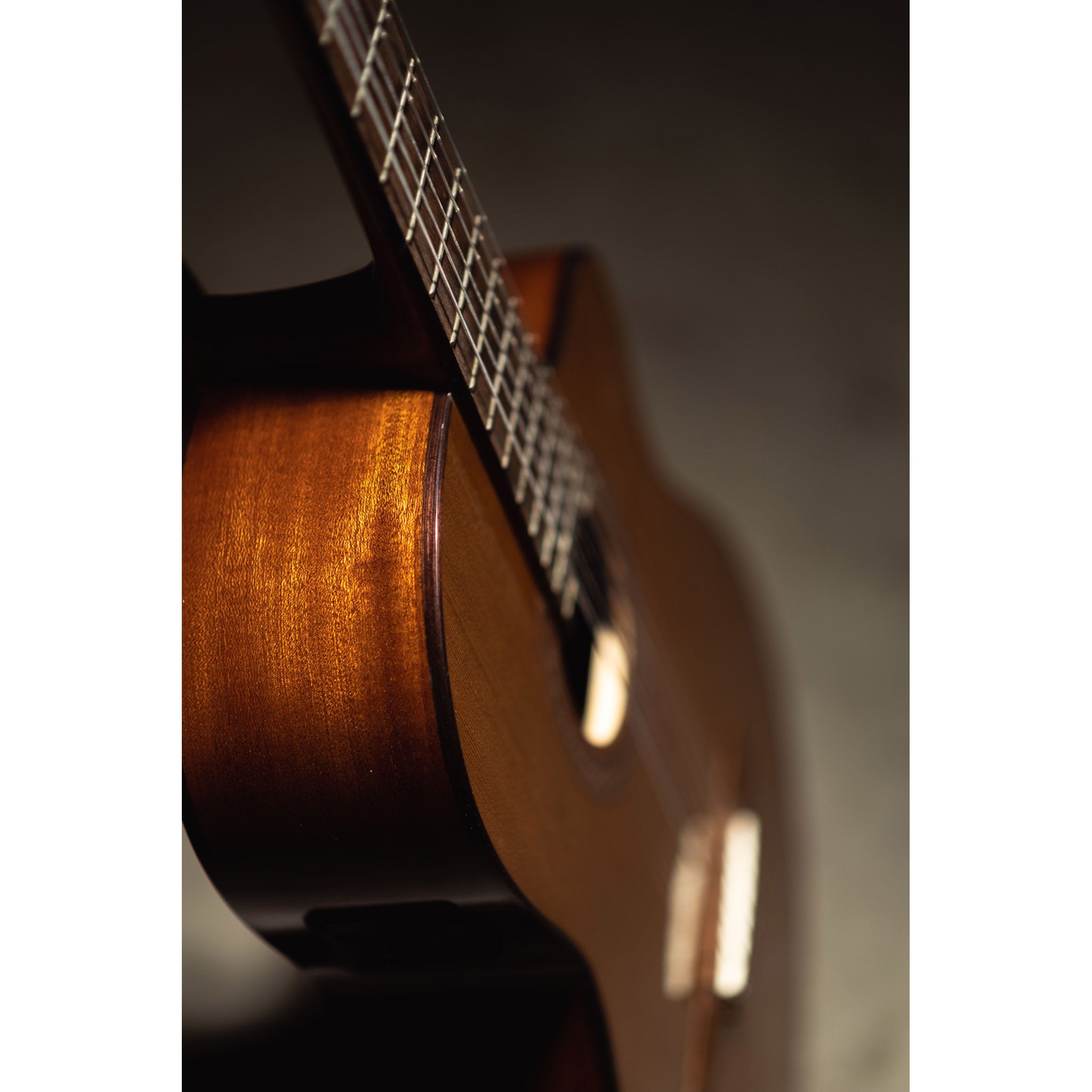 Córdoba C5-CE CD Cutaway Classical Guitar with Fishman Electronics
