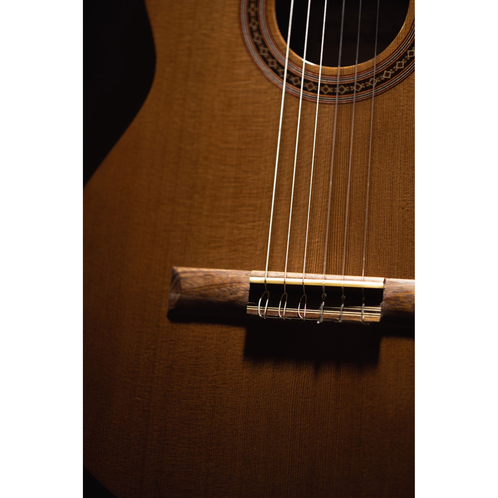 Córdoba C5-CE CD Cutaway Classical Guitar with Fishman Electronics