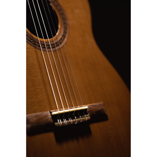 Córdoba C5-CE CD Cutaway Classical Guitar with Fishman Electronics