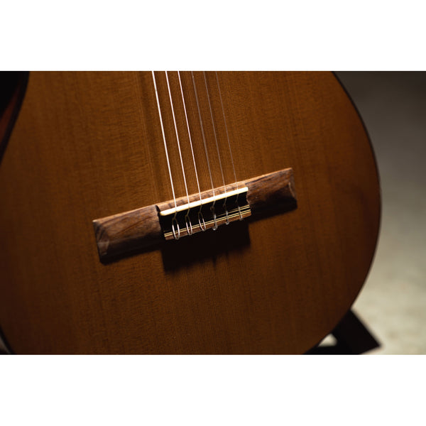 Córdoba C5-CE CD Cutaway Classical Guitar with Fishman Electronics
