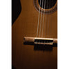 Córdoba C5-CE CD Cutaway Classical Guitar with Fishman Electronics