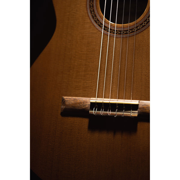 Córdoba C5-CE CD Cutaway Classical Guitar with Fishman Electronics