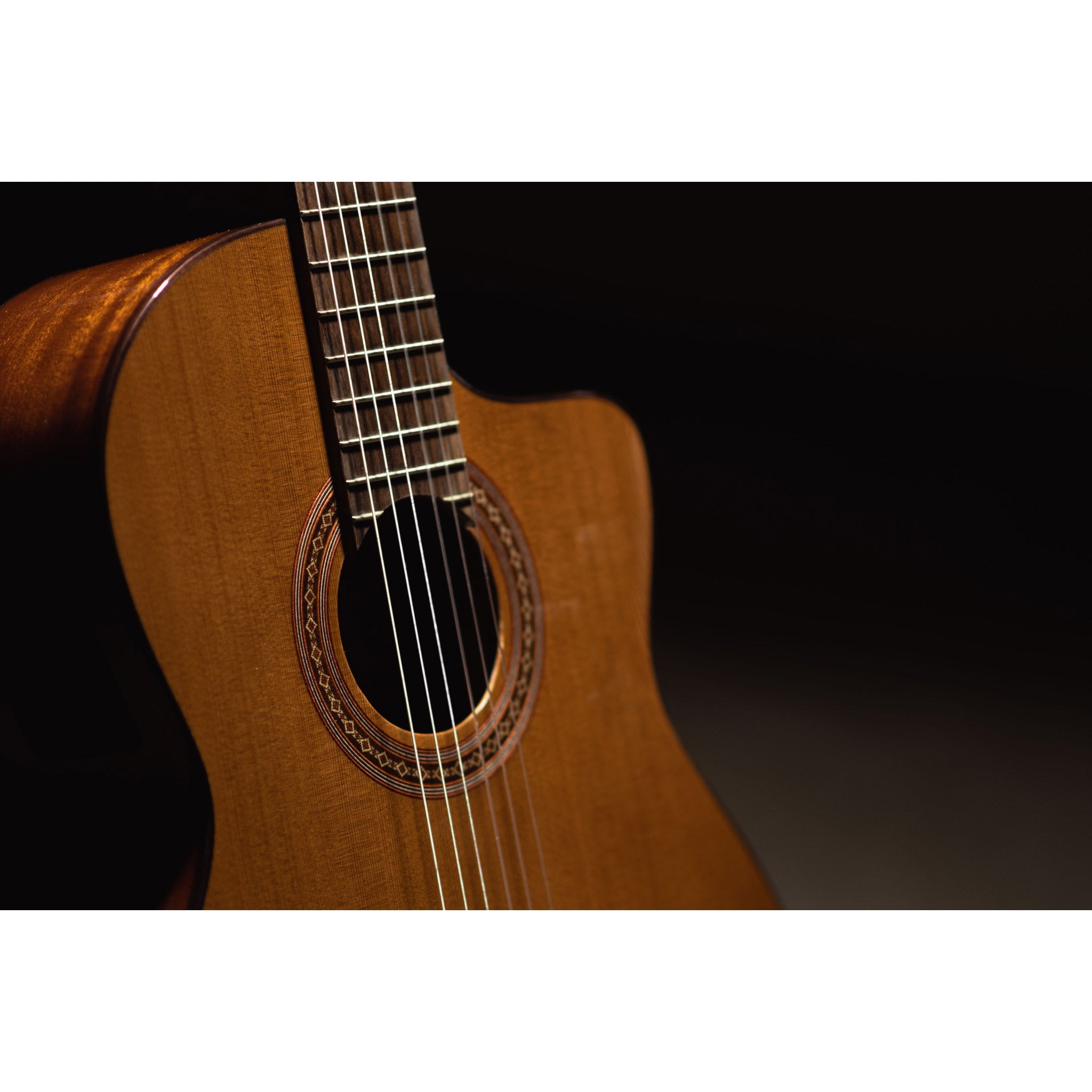 Córdoba C5-CE CD Cutaway Classical Guitar with Fishman Electronics