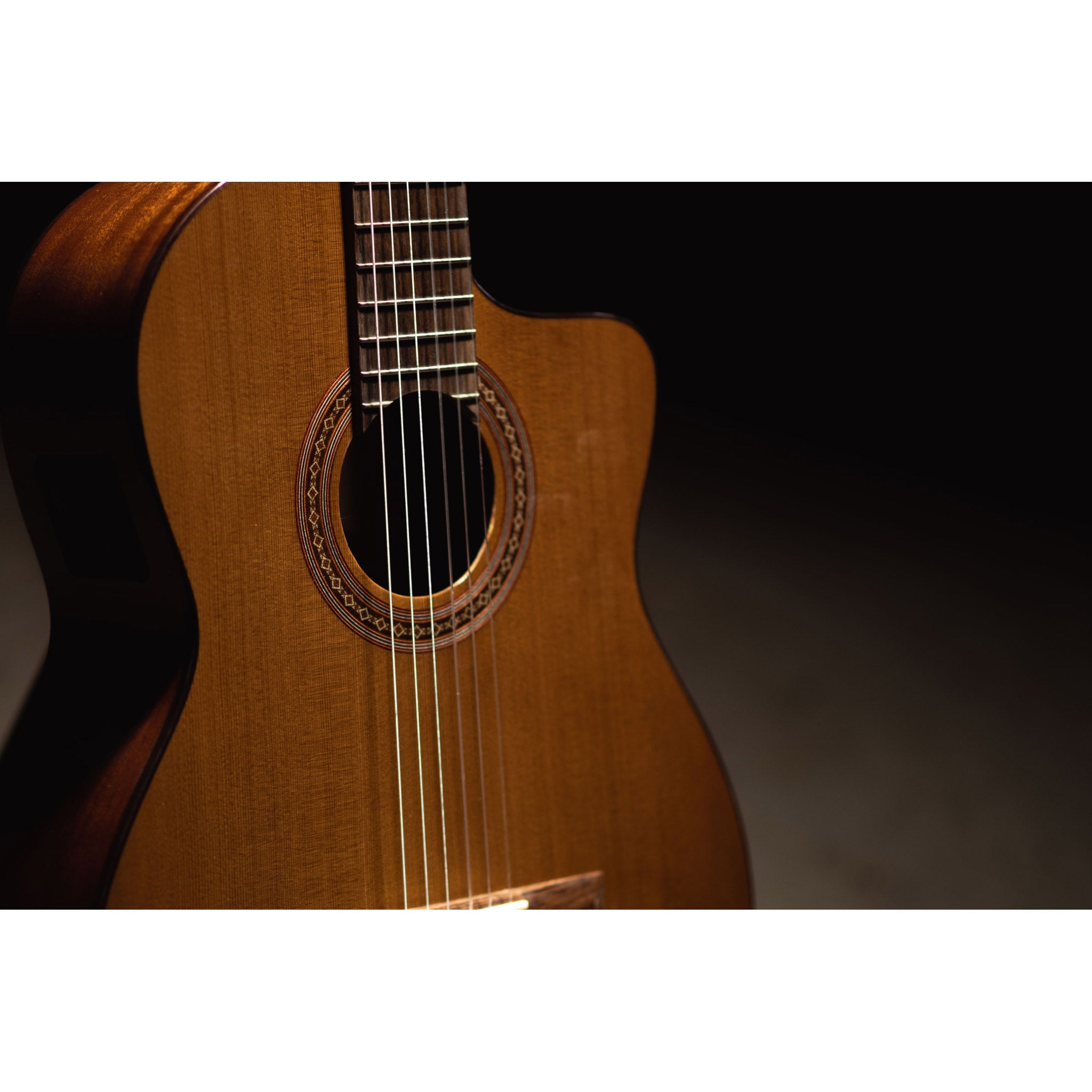 Córdoba C5-CE CD Cutaway Classical Guitar with Fishman Electronics
