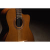 Córdoba C5-CE CD Cutaway Classical Guitar with Fishman Electronics