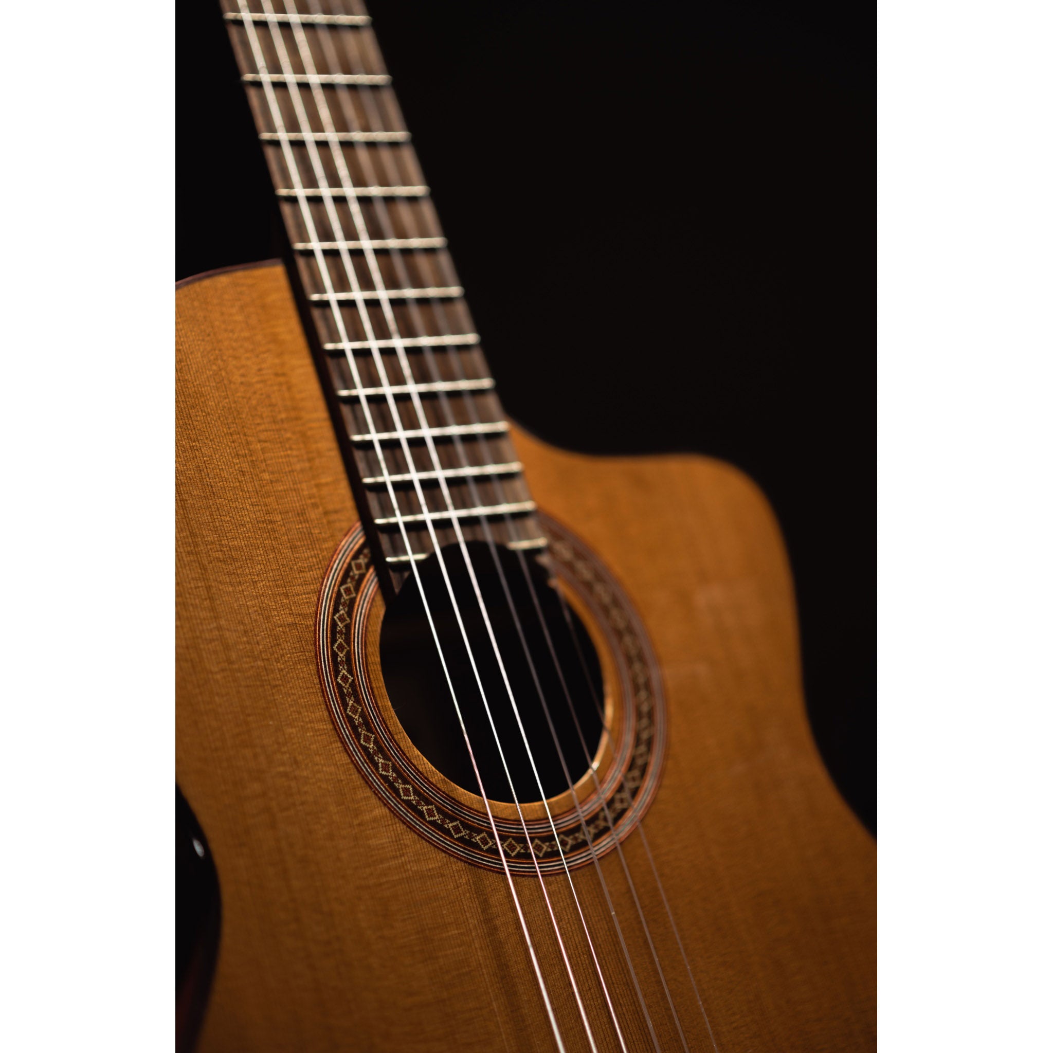 Córdoba C5-CE CD Cutaway Classical Guitar with Fishman Electronics
