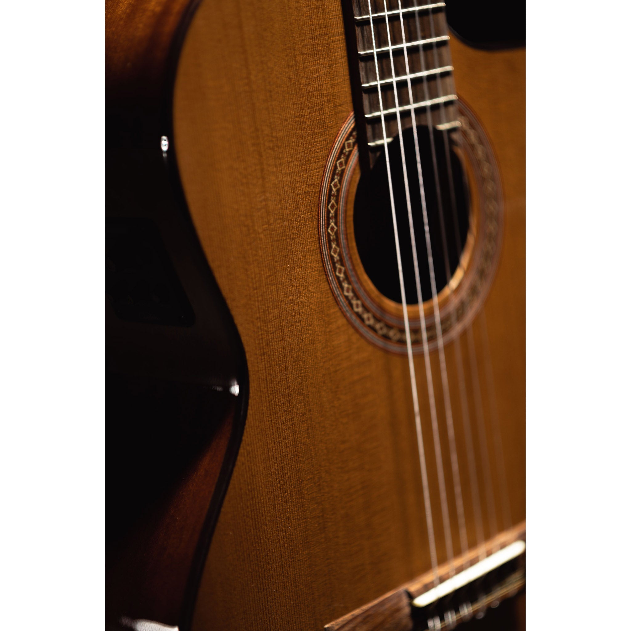 Córdoba C5-CE CD Cutaway Classical Guitar with Fishman Electronics