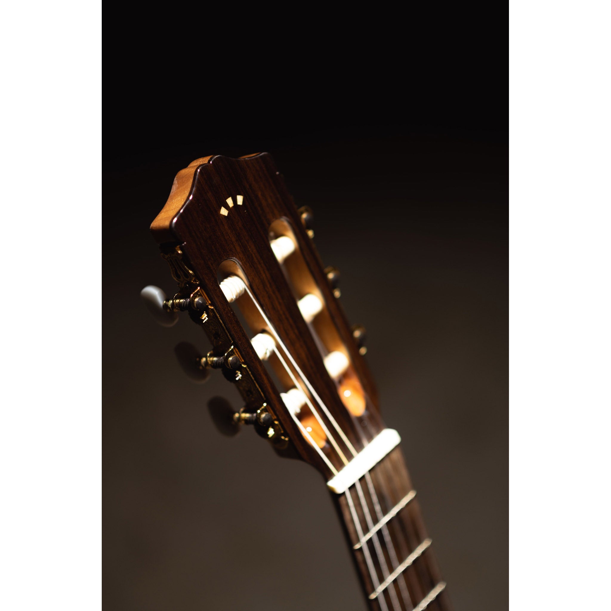 Córdoba C5-CE CD Cutaway Classical Guitar with Fishman Electronics