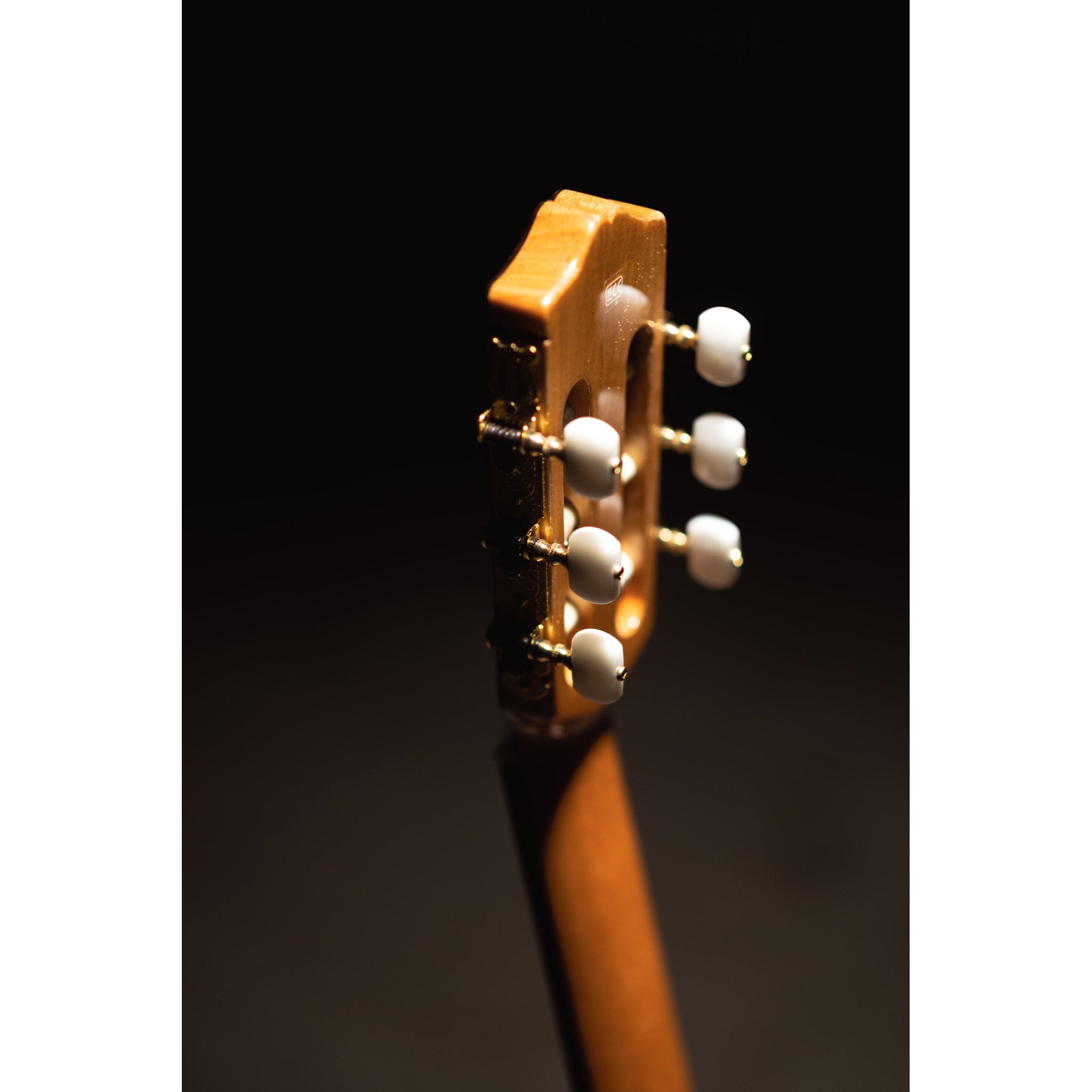 Córdoba C5-CE CD Cutaway Classical Guitar with Fishman Electronics